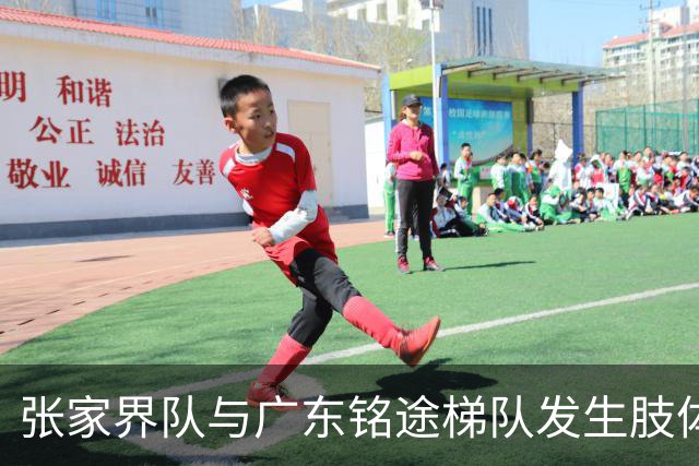 张家界队与广东铭途梯队发生肢体冲突，湖南省足协：暂停涉事人员参加省内一切足球活动